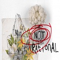 Not Rational Logo 2016